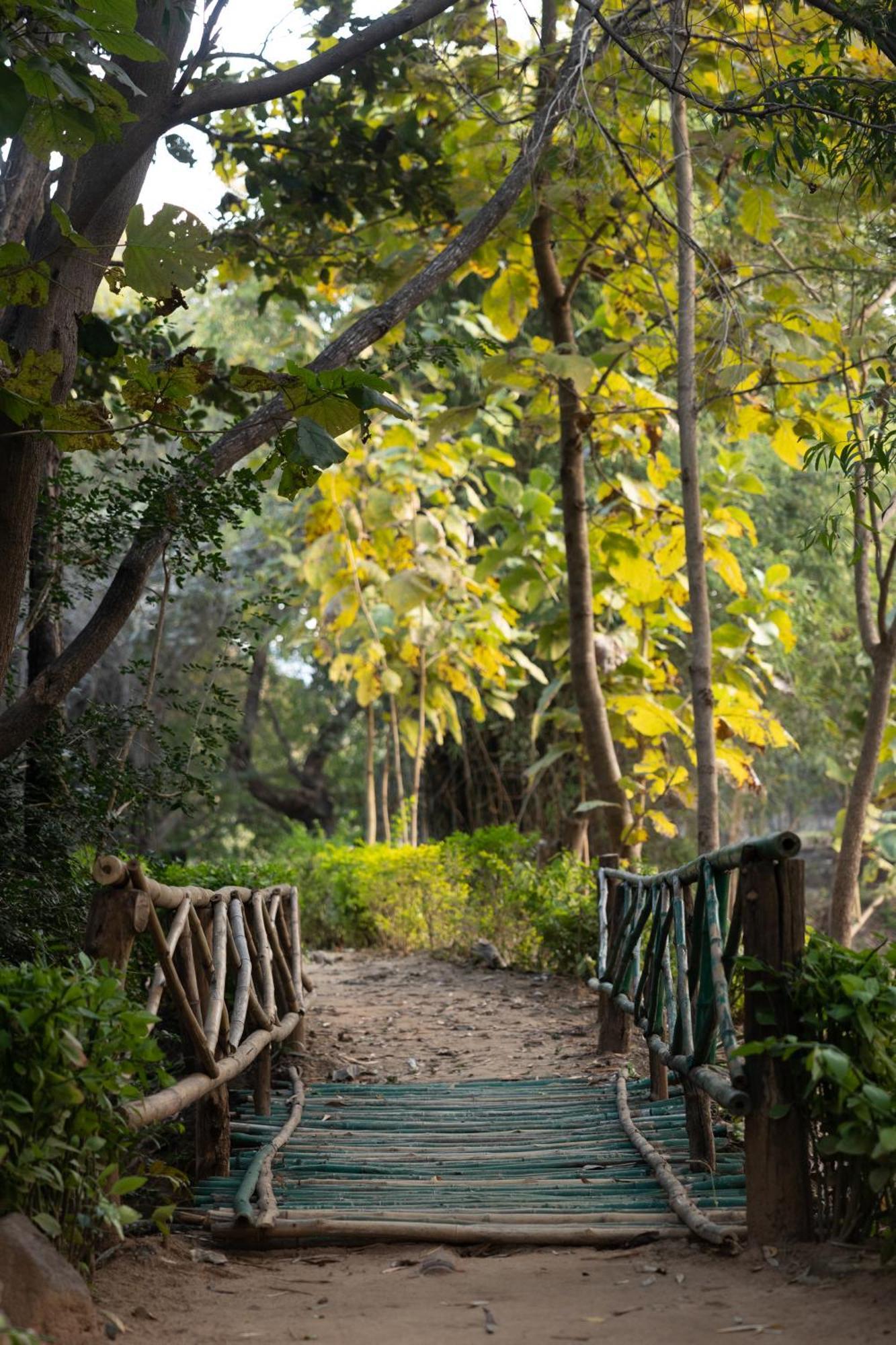 Tiger Trails Resort Tāla Exterior photo